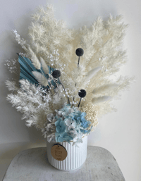Image 1 of Baby blue and white everlasting