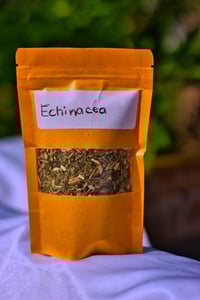 Echinacea Leaf