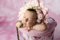 Image 3 of The Luxe ~ Newborn Portrait Session