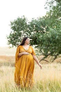 Image 1 of The Graceful ~ Maternity Portrait Session