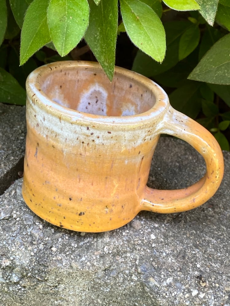 apricot frosting 