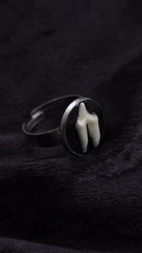 Image 5 of Fox tooth ring