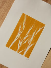 Image 2 of Yellow Grass 3  Original Botanical Monoprint  A4  *Seconds*