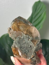 Image 2 of XL HALF POLISHED HIMALAYAN RUTILE IN QUARTZ CLUSTER E