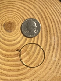 Image 3 of Fernspell Hoops