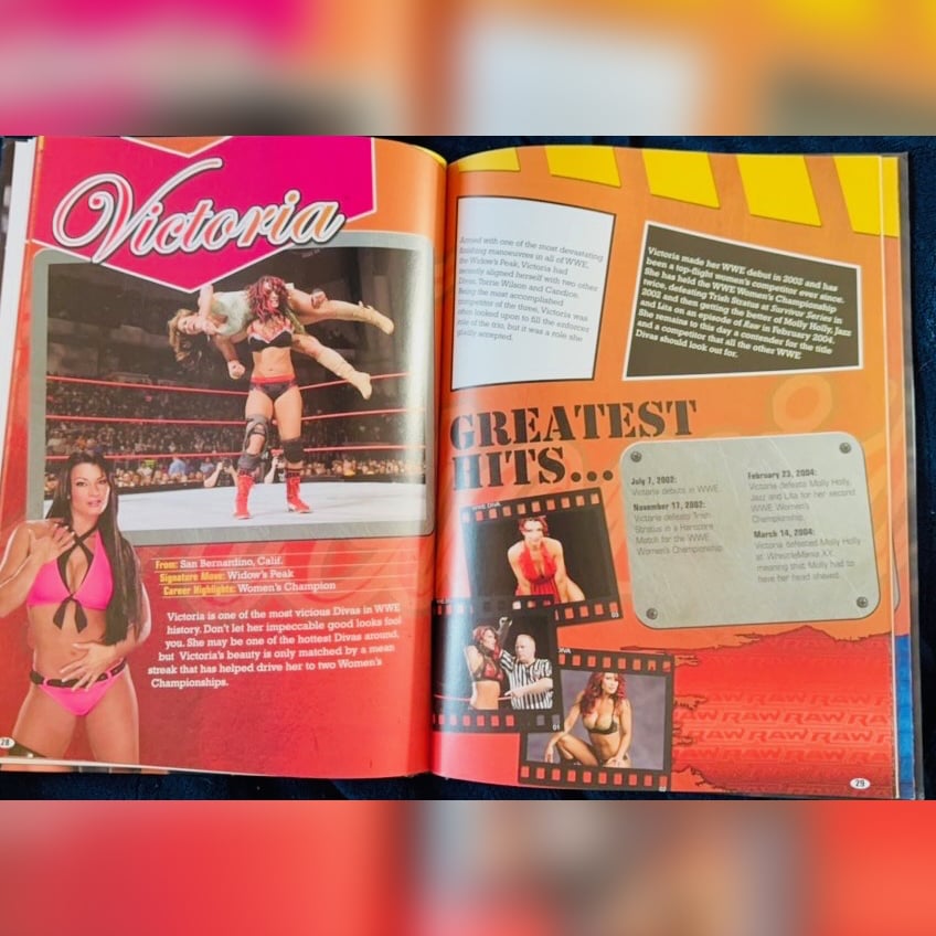 WWE Divas Annual 2008 Book