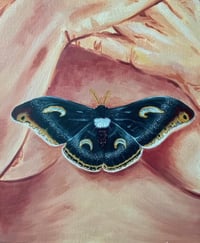 Image 2 of Epiphora Marginimacula (Original Painting)