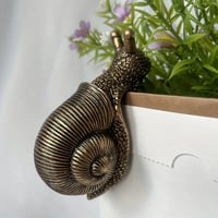 Image 2 of Golden Snail Plant Pot Hook Hanger