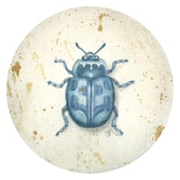 Image 1 of Original Art: Cyan Beetle