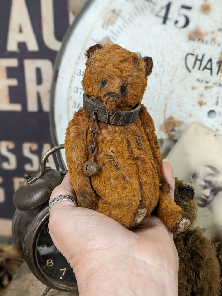 Image of 7" - old worn distressed fat grizzly bear in antique leather collar & bell by whendi's bears.