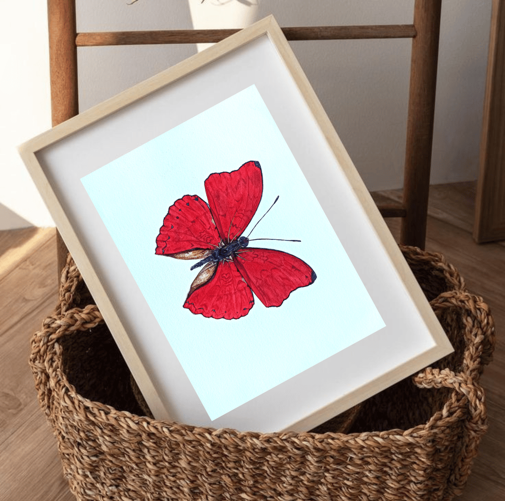 Image of Cymothoe sangaris, the blood-red glider watercolor illustration PRINT 