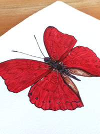 Image 3 of Cymothoe sangaris, the blood-red glider watercolor illustration PRINT 