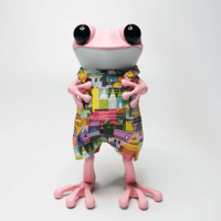 Image 4 of Townie Froggie