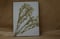 Image of Libreta A4 hojas en blanco Modelo L001