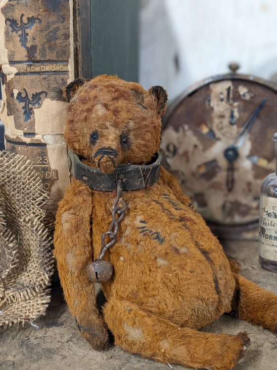 Image of 7" - old worn distressed fat grizzly bear in antique leather collar & bell by whendi's bears.