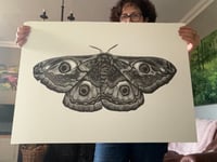 Image 2 of Emperor Moth Lino Print