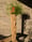Image of Hanging Chain design plant holder
