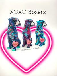 Image 1 of XOXO Boxers 