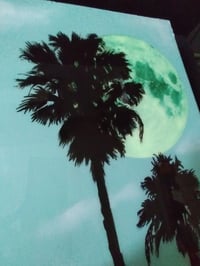 Image 4 of Palms and Moon Original 