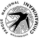 Image 3 of Mosambik Chimanimani - nur für kurze Zeit