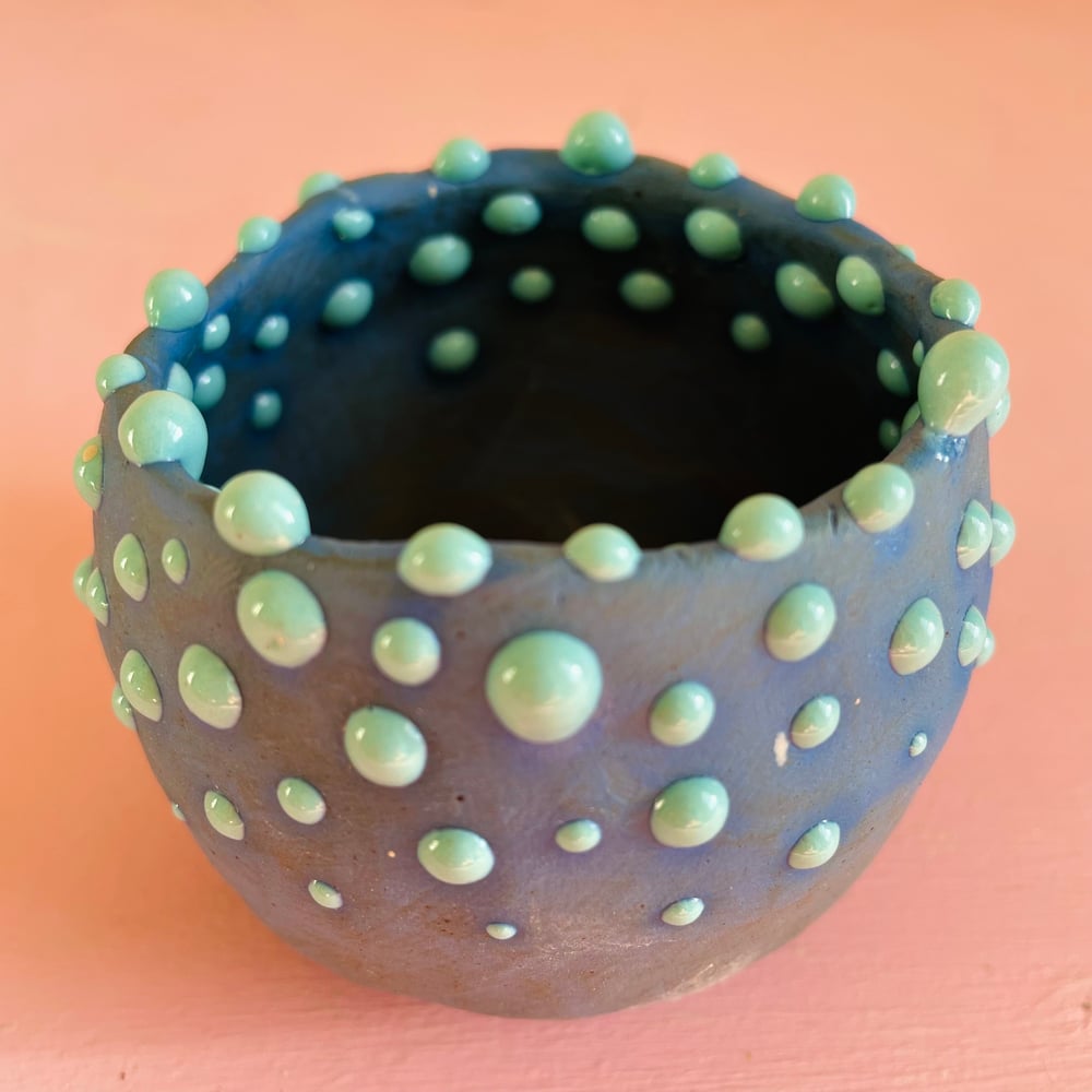 Image of Little Lizard Pot