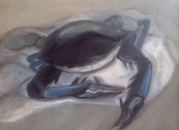 Image of Crabe bleu (Jour 18)