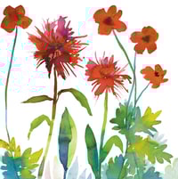 Image 2 of Poppies and Bergamot Greetings Card