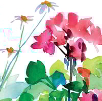 Image 2 of Geraniums and Daisies Greetings Card
