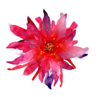 Image 2 of Pink Supernova Greetings Card