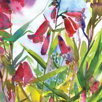 Image 2 of Cats Eye View Greetings Card