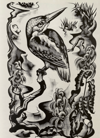 Image 2 of Down the River by H.E Bates illustrations by Agnes Miller parker