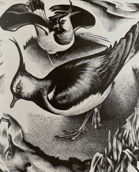 Image 3 of Down the River by H.E Bates illustrations by Agnes Miller parker