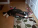 Image of Foot Long LOG Organic Catnip CAT TOY Handmade by Oh Boy Cat Toy 