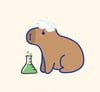 STEM Capy
