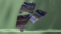 Petrified Wood [Parcel]