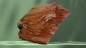 Petrified Wood [Parcel]