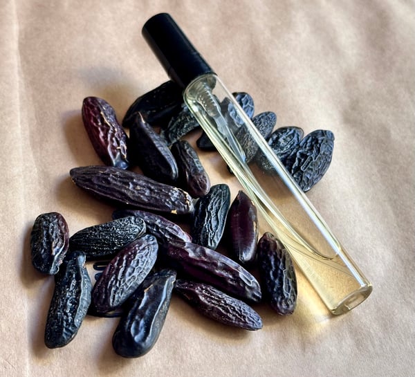 Image of Tonka Beans (Pkt of 5)