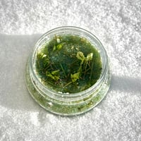 Image 3 of Winter Wonderland (Male) Body Scrub