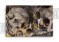 Image 1 of 24"x36" Skullz Canvas
