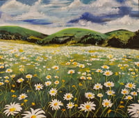 Field of Daisies Greeting Card