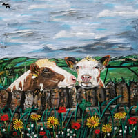 Cows Smoooooching, Sholes, Holmfirth Print