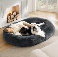Giant Beanbag Dog Bed for People