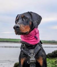 Image 1 of REVERSIBLE SNOOD 