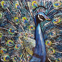 Peacock Original