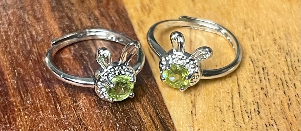 Image of Bunny rings 