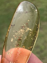 Image 2 of Copal Amber With Preserved Insects #2629