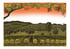 Vineyard Orange Image 2