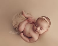 Image 5 of Newborn Session
