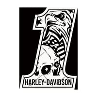 Image 1 of HD #1 Eagle and Skull Decal