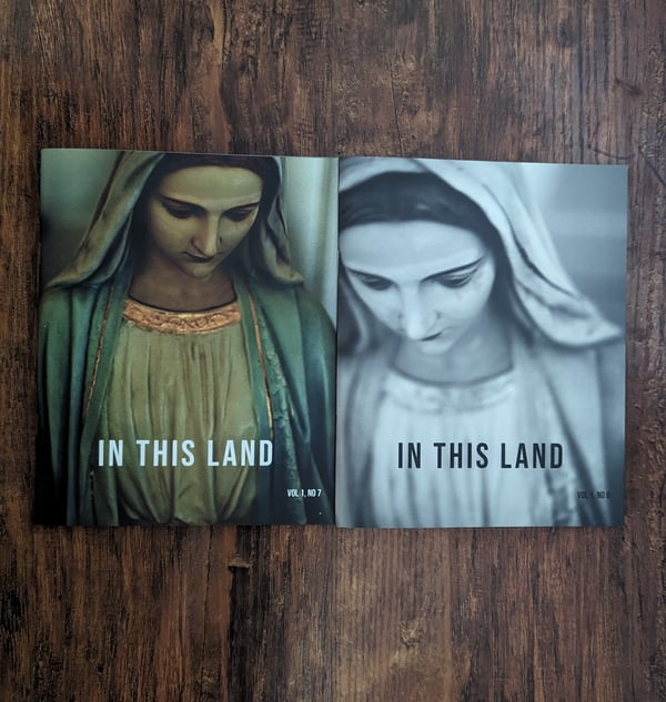 Image of In This Land - Issues 7 & 8